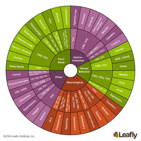 WHAT ARE THE DIFFERENCES BETWEEN THC AND CBD PRODUCTS?