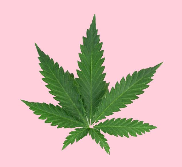 USING CANNABIS-INFUSED PRODUCTS FOR WOMEN'S HEALTH