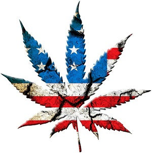 2020 MARIJUANA LEGALIZATION