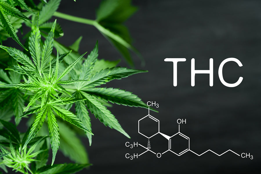 Health Benefits of THC