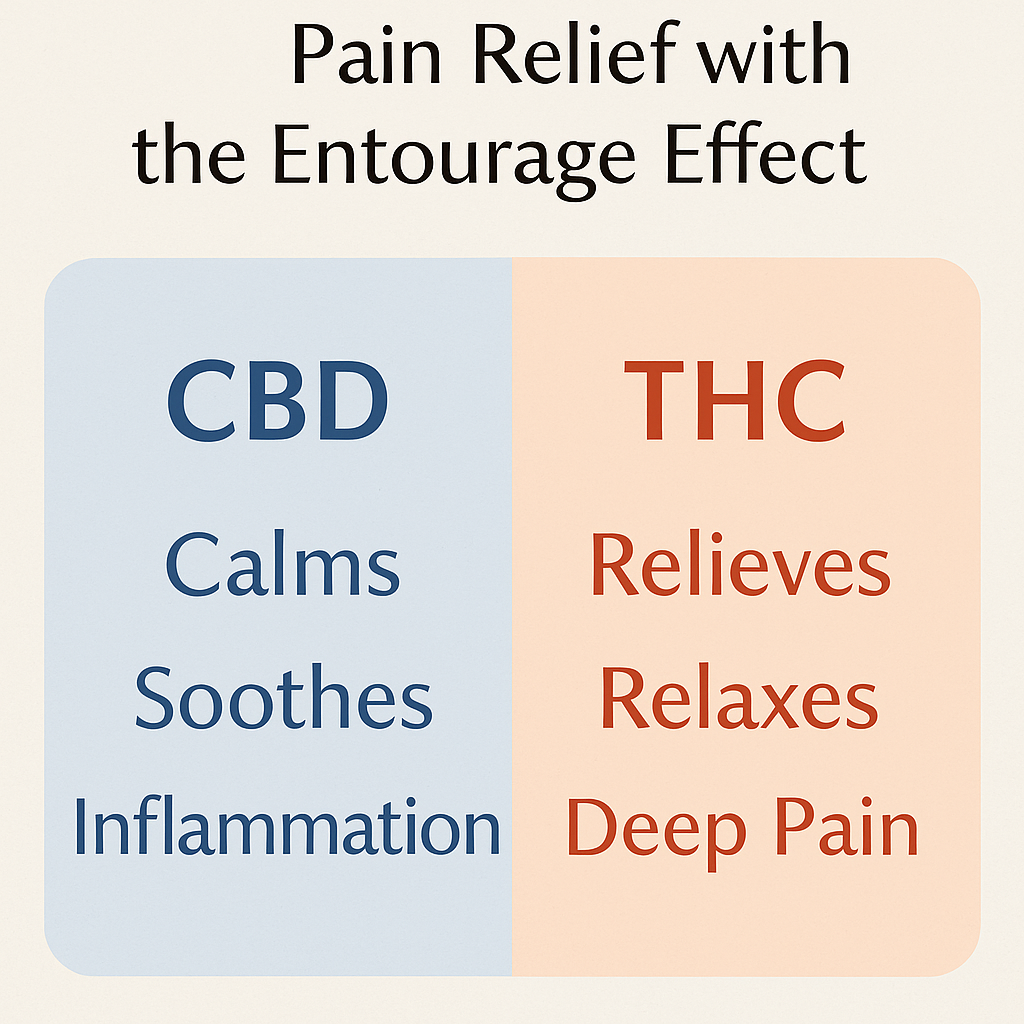 CBD vs THC: Which One Is Better for Pain Relief?