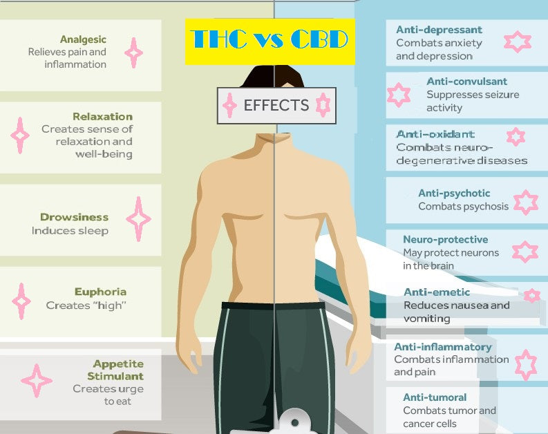 DIFFERENCES BETWEEN THC AND CBD