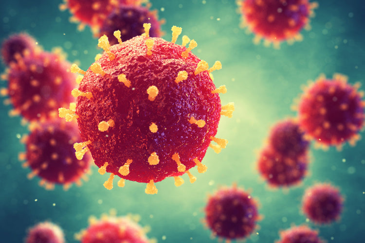 How Does Cannabis Affect Your Immune System?