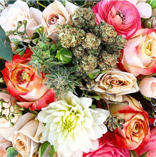 FLOWER POWER: 50 REASONS TO USE CANNABIS