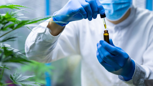 Cannabis Compounds May Prevent Coronavirus Infection