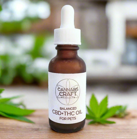 A bottle of BALANCED CBD-THC OIL FOR PETS with a dropper cap, branded by Cannabis Craft.