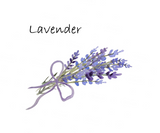 LAVENDER CANNABIS THC FACE AND BODY OIL