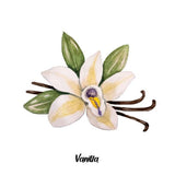 VANILLA CANNABIS BODY OIL
